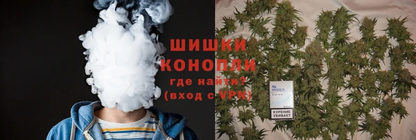 стаф Бронницы
