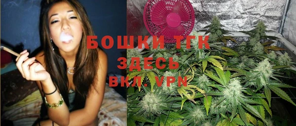 стаф Бронницы