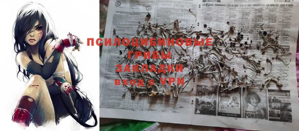 стаф Бронницы