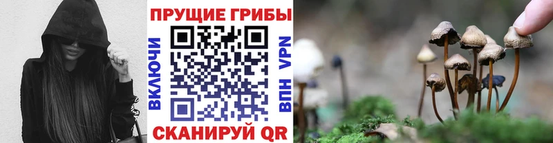 магазин    Барнаул  Псилоцибиновые грибы MAGIC MUSHROOMS 